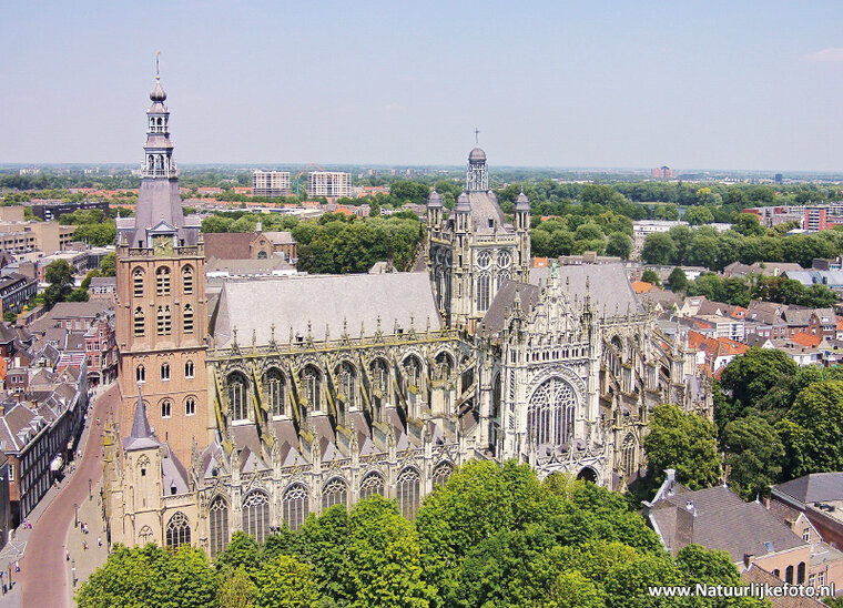 Sint Janskathedraal postcard (0181) Sint Janskathedraal postcard (0181)