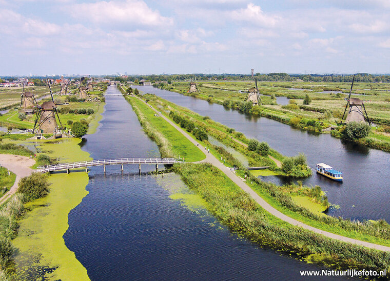 postcard mills at Kinderdijk