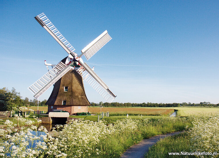 Mill postcard - the Eendracht Sebaldeburen (0035)