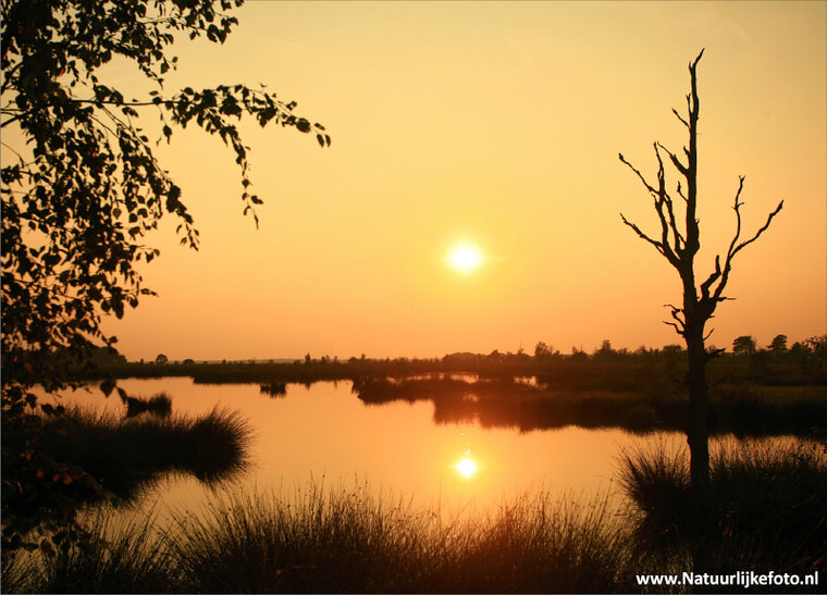 Sunset postcard - Dwingelderveld (0036)