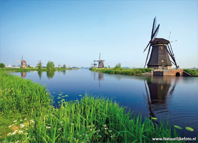 postcard mills from Kinderdijk
