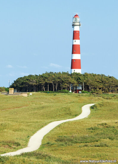 Lighthouse postcard Bornrif on Ameland (0060) Lighthouse postcard Bornrif on Ameland (0060)