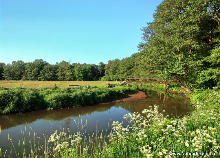 Landscape postcard - De Drentsche Aa (0063)
