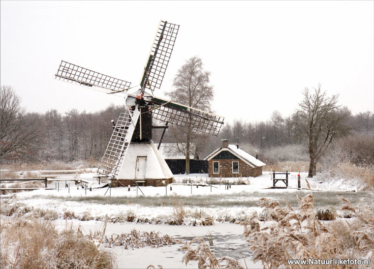 Mill postcard - the Wicher (0072)
