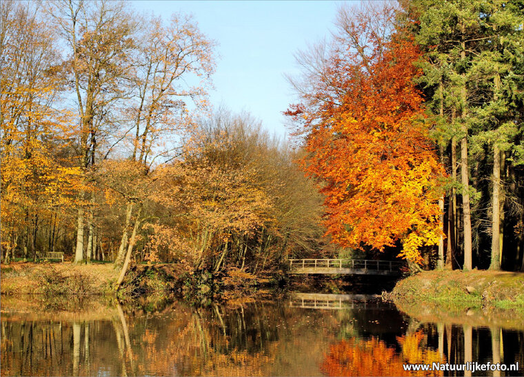 Bridge in autumn postcard (0077)