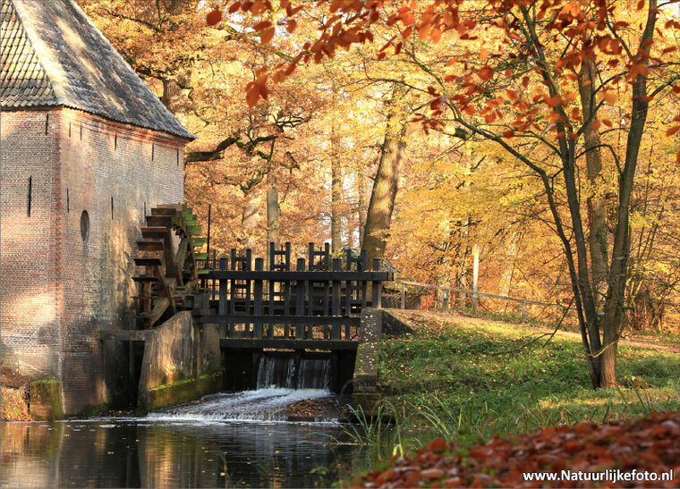 Water mill postcard - Hackfort in Autumn (0079)