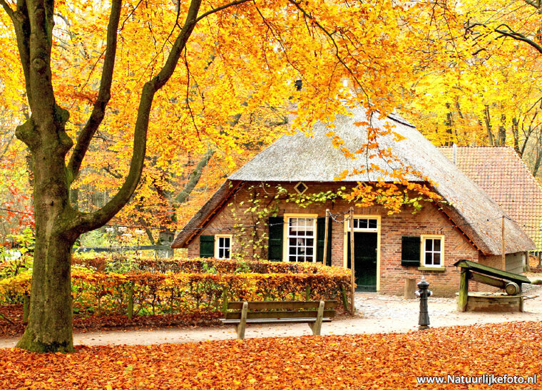 Small farm in Autumn postcard (0082)