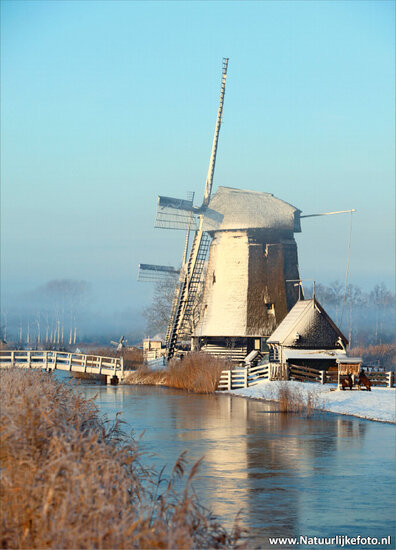 Mill in winter postcard (0087) Mill in winter postcard (0087)