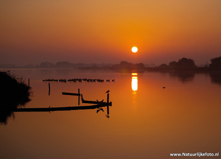 Sunrise at Leekstermeer postcard (0099)