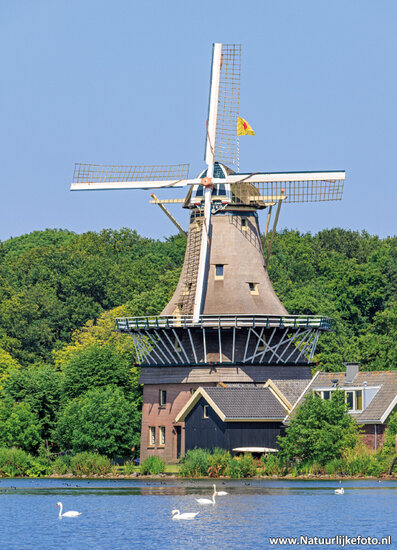 postcard mill Kralingse plas