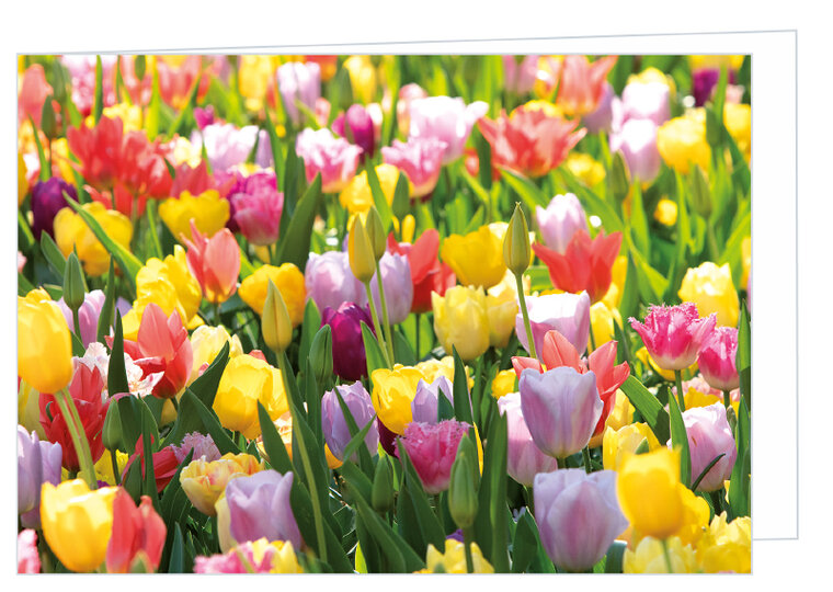 Blank greeting card flowers - double card with envelope (W005)