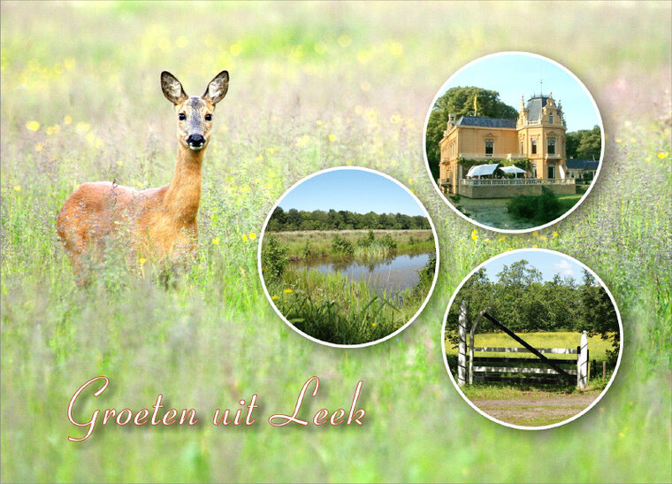 postcard Leek 001