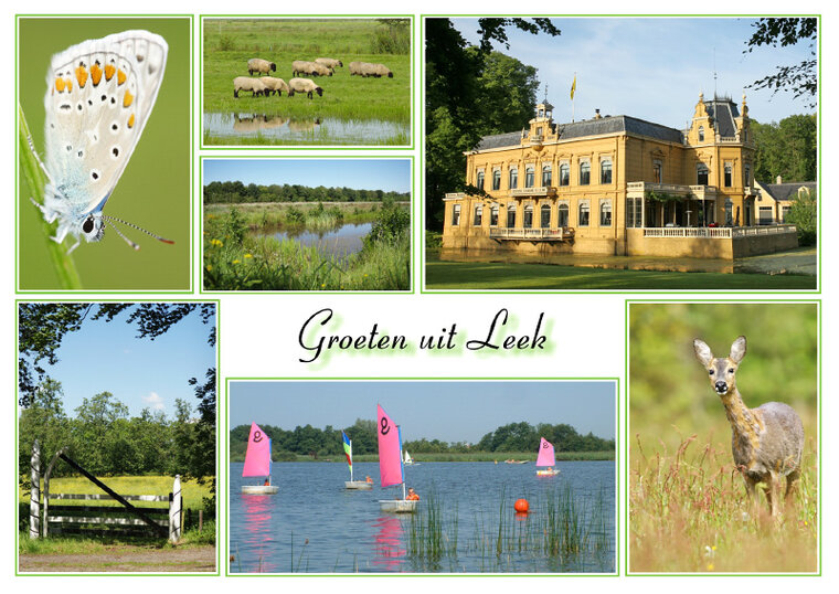 postcard Leek 004