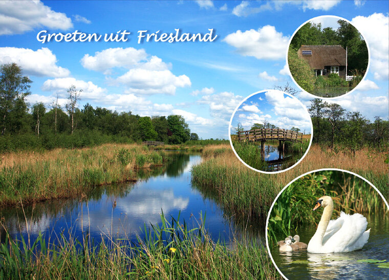 postcard Friesland 005