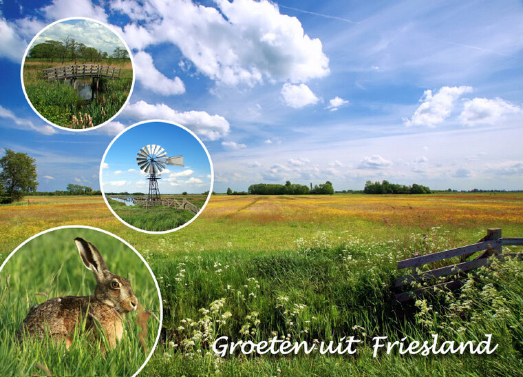 postcard Friesland 006