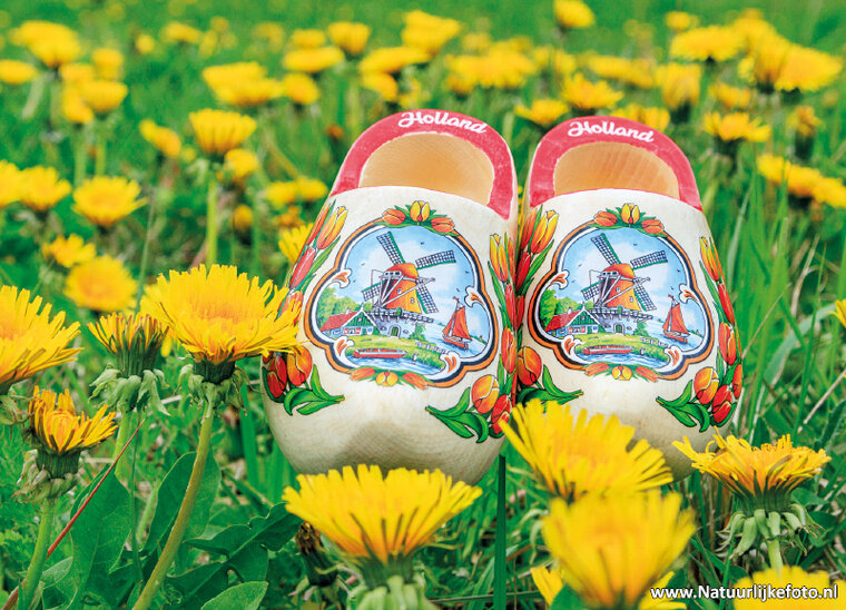 postcard clogs with dandelions