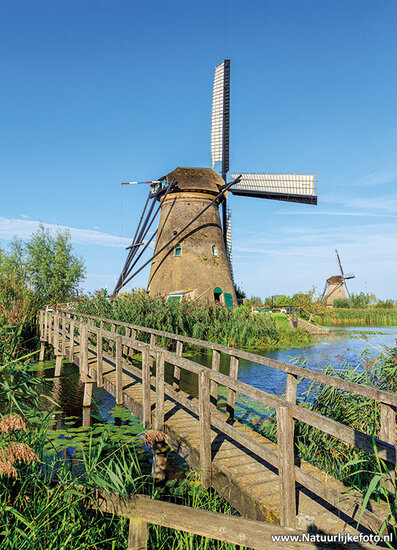 postcard Nederwaard mill