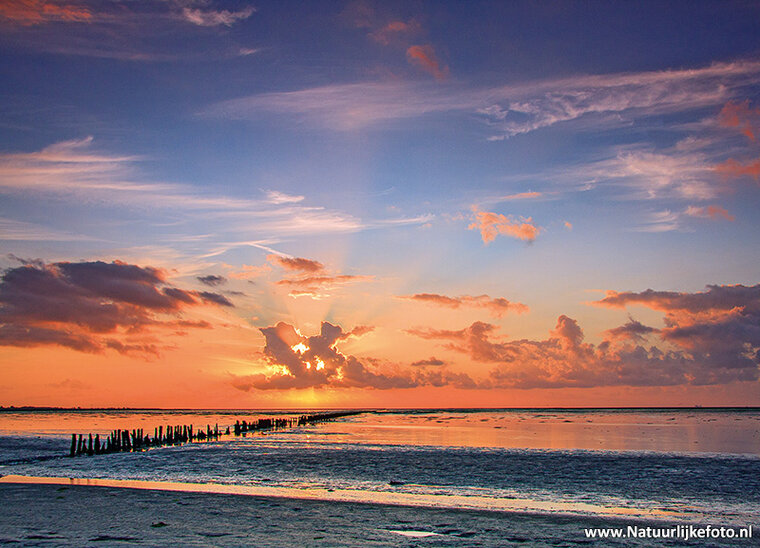 Sunrise Wadden sea - world heritage postcard