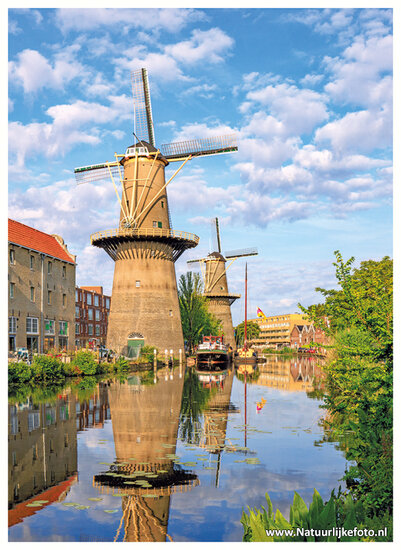 postcard Schiedam mill