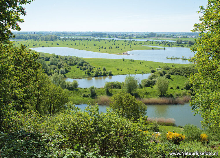 Gelderland postcard set