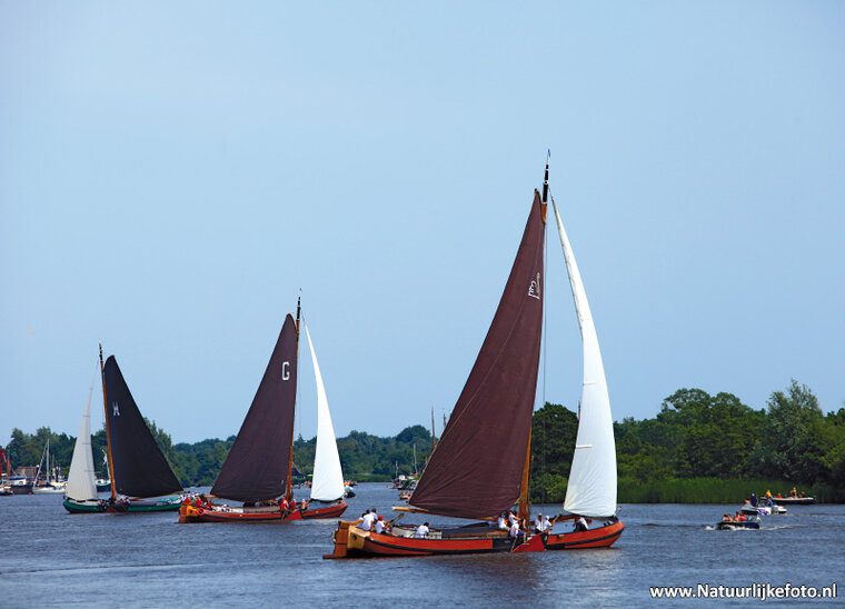 Friesland Postcard set