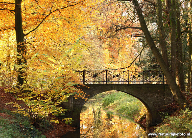 Postcard set Autumn - 15 postcards with Autumn motif (no. 020)