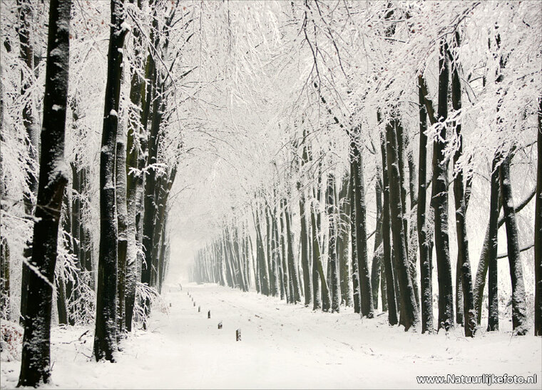 Postcard set Winter - 21 postcards with winter motif (no. 046)