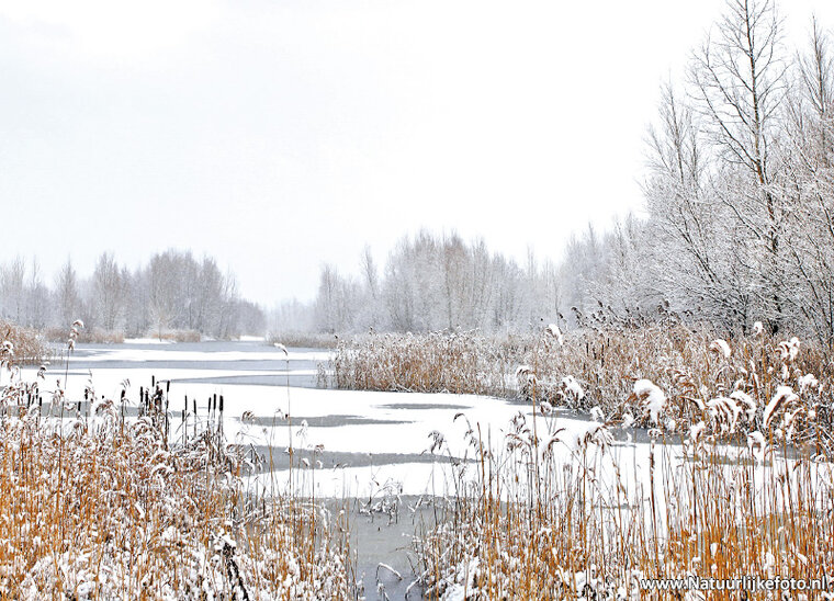 Postcard set winter - 15 postcards with a winter motif (no. 045)