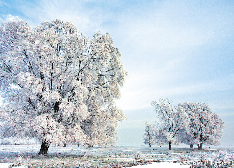 Postcard set winter - 15 postcards with a winter motif (no. 045)