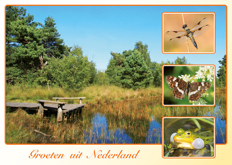 Dutch postcards set - 9 groeten uit Nederland postcards (no. 109)