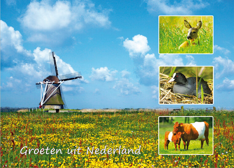 Dutch postcards - set with 9 groeten uit Nederland postcards (no. 100) Dutch postcards - set with 9 groeten uit Nederland postcards (no. 100)