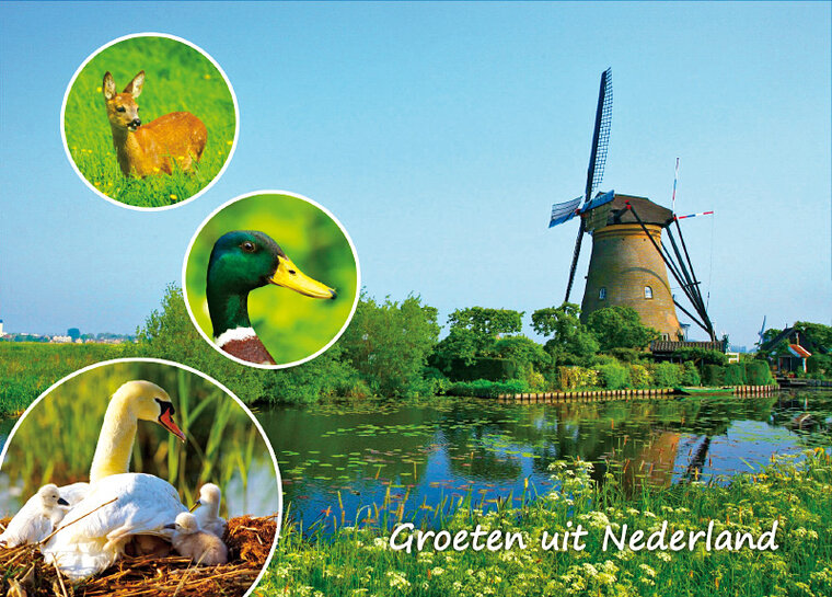 Dutch postcards - set with 9 groeten uit Nederland postcards (no. 100) Dutch postcards - set with 9 groeten uit Nederland postcards (no. 100)