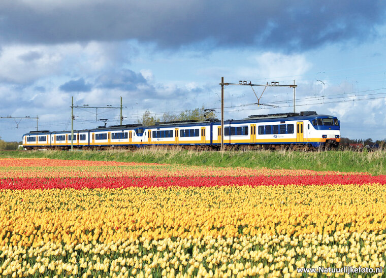Train postcards - 6 postcards with train motif (no. 098)