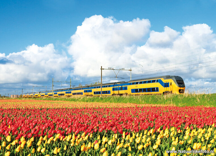 Train postcards - 6 postcards with train motif (no. 098)