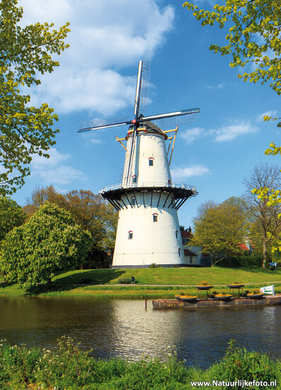 Postcard set mills - 15 postcards with mill motif (no. 063)