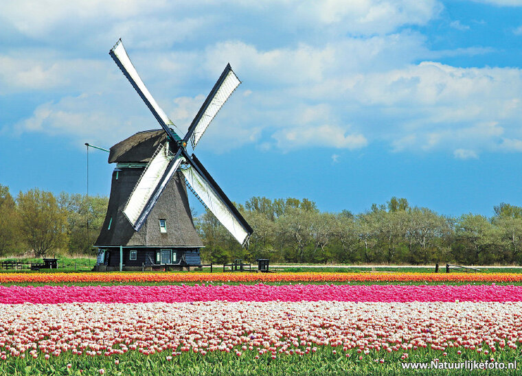 Postcard set mills - 15 postcards with mill motif (no. 063)