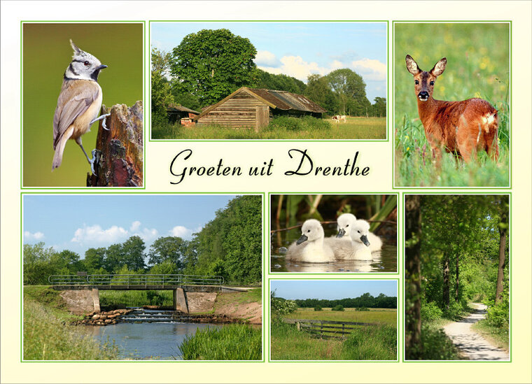 Drenthe postcards - set of 9 postcards (nr. 92)