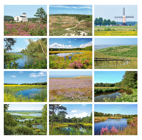 Landscape postcards set - 12 postcards with landscape motif (no. 091)