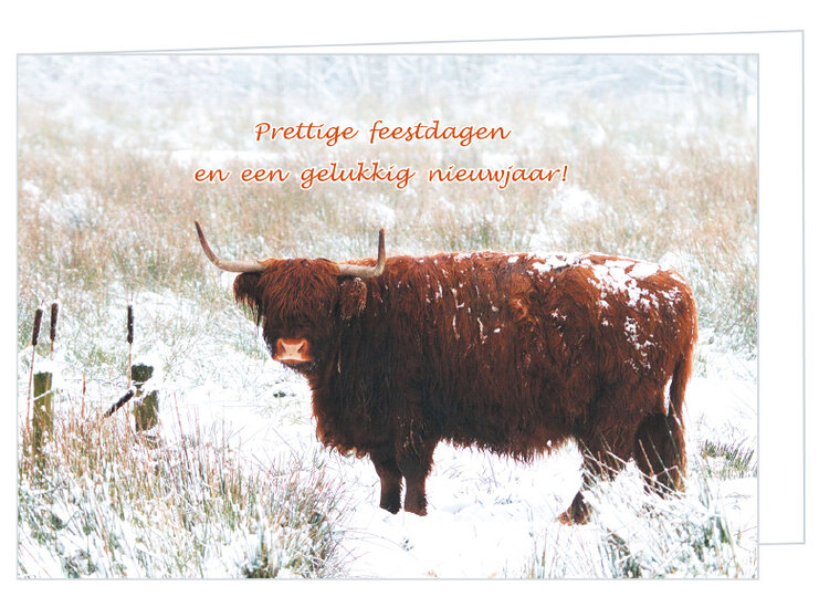 Luxury Christmas cards 2025-2026 - set of 30 folded cards with envelopes (set nr. 104)