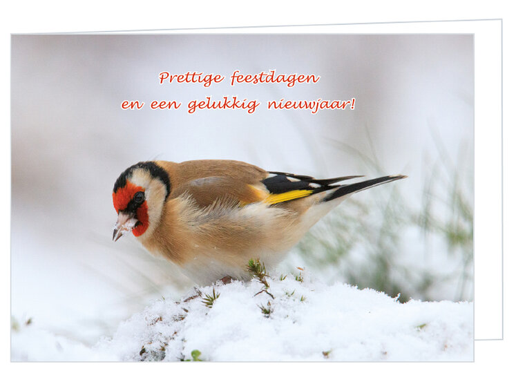 Luxury Christmas cards 2025-2026 - set of 30 folded cards with envelopes (set nr. 104)
