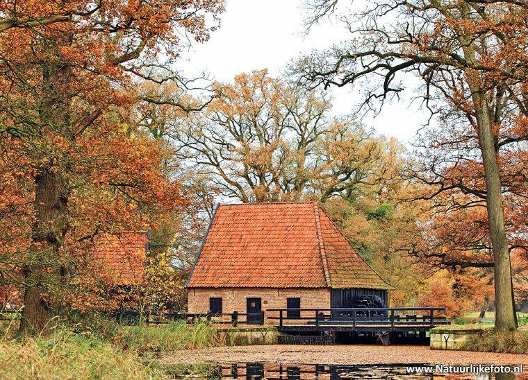 Autumn postcards - set with 11 Autumn motif postcards (no. 34)