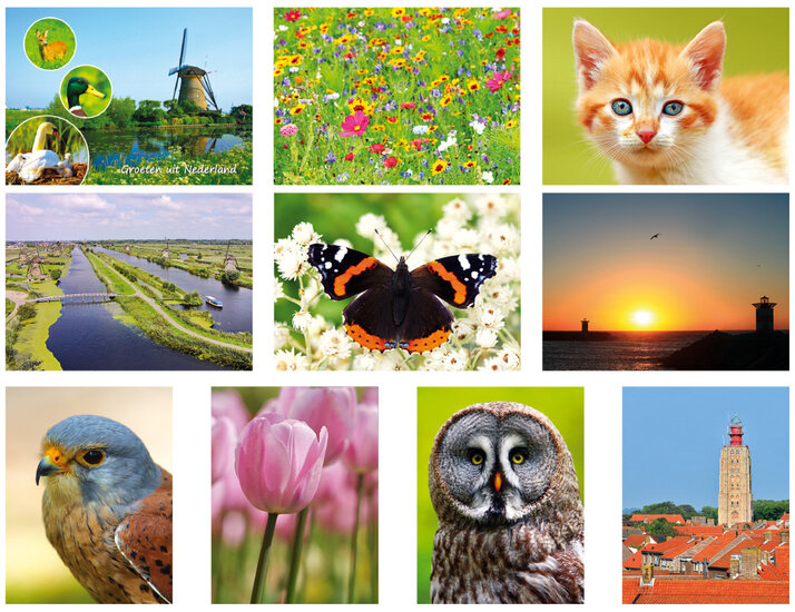 Postcard set 36 - set with 10 postcards (nr. 36)