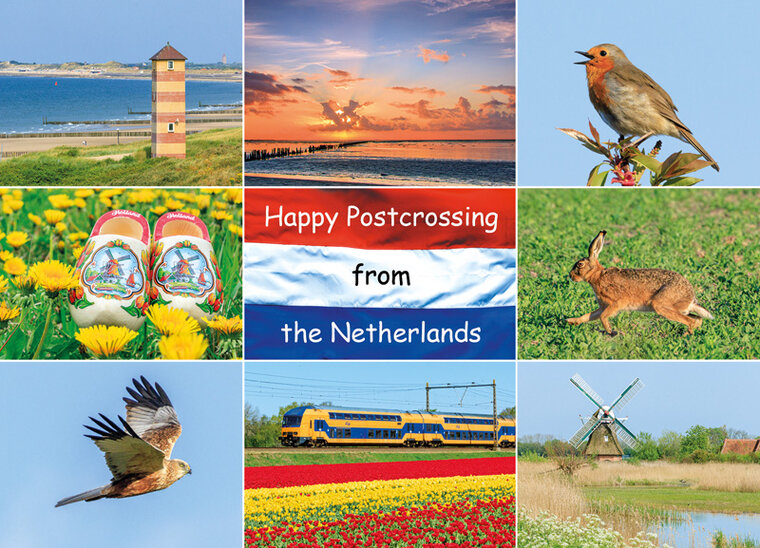 postcard Happy Postcrossing