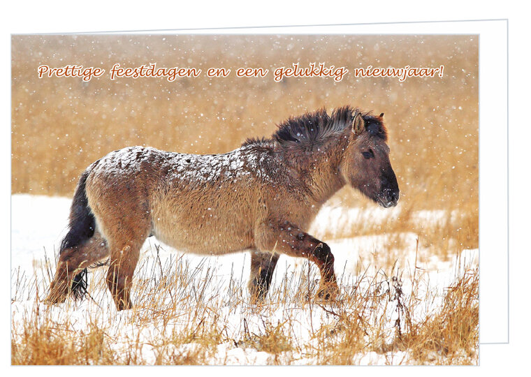 Konik horse Christmas card - double animal card with envelope (K003)