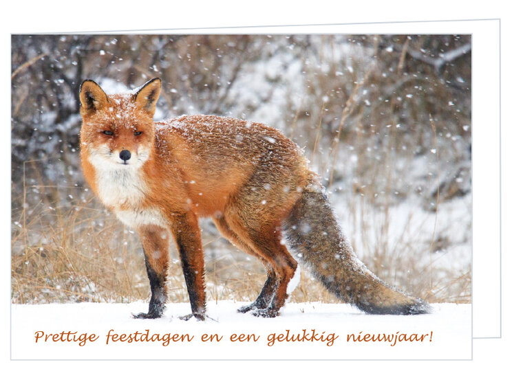 Fox Christmas card - double animal card with envelope (K005)