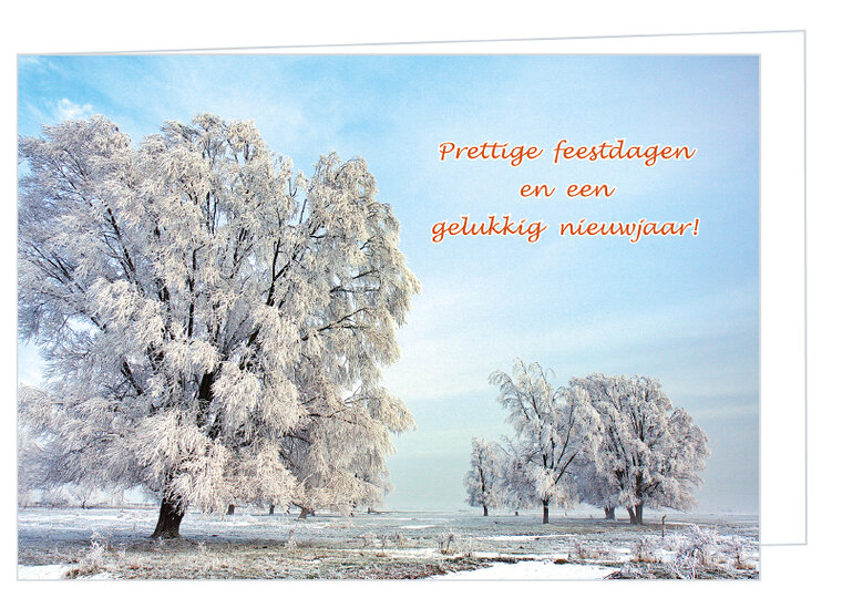 Trees in winter Christmas card - double card with envelope (K010)