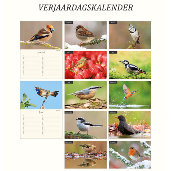 Birthday calendar birds Birthday calendar birds