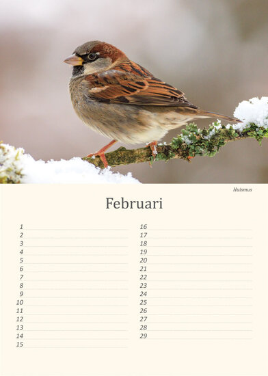 Birthday calendar birds Birthday calendar birds