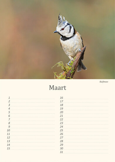 Birthday calendar birds Birthday calendar birds