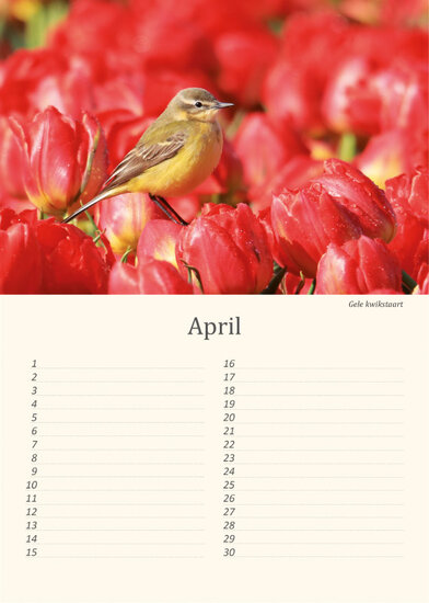 Birthday calendar birds Birthday calendar birds